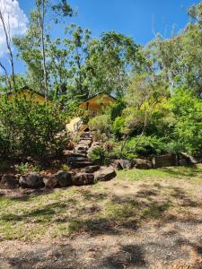Ein Garten an der Unterkunft Ferns Miners Rest