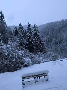 a bench covered in snow in front of trees at Cozy house in the forest in Borjomi