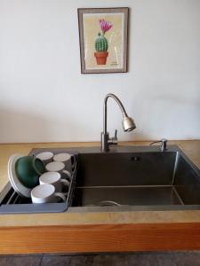 - un évier avec des tasses et un cactus dans l'établissement El Cedro y su comodidad, à Loreto