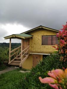 a wooden house with a staircase in front of it at Hotel Cotobruseño 