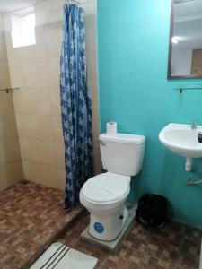 a bathroom with a toilet and a sink at Hotel Cotobruseño 
