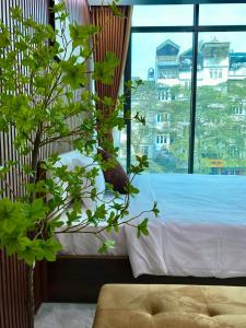 um quarto com uma planta em frente a uma janela em Lightning Riverside em Hanói