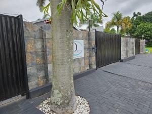 a palm tree in front of a fence at Déjàvu at the Bay in Richards Bay