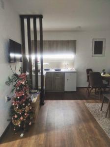 una sala de estar con un árbol de Navidad y una cocina en Petrović Apartman, en Vrnjačka Banja