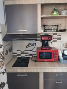 eine Küche mit einer roten Mikrowelle auf der Theke in der Unterkunft Casa în regim hotelier in Dofteana