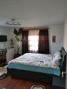 a bedroom with a bed and a window at Casa în regim hotelier in Dofteana