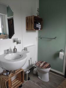 ein Badezimmer mit einem weißen Waschbecken und einem WC in der Unterkunft Deich in Karolinenkoog