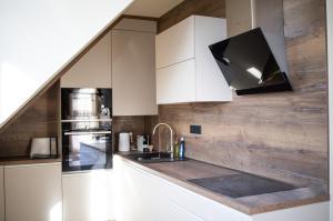Kuchyň nebo kuchyňský kout v ubytování Apartmány nad Anenským potokem - Říčky