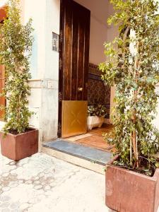 an open door of a house with two potted plants at Casa 1928 - 1 IZQ - Plaza de España in Seville