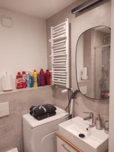 uma casa de banho com um lavatório, um WC e um espelho. em CENTRUM PLAC WOLNOŚCI 6, Faktura VAT, bezkontaktowe zameldowanie em Poznań