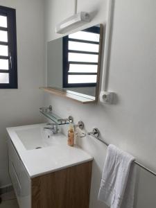 W łazience znajduje się umywalka i lustro. w obiekcie Les roches noires résidence w mieście Saint-Gilles les Bains