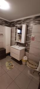 La salle de bains est pourvue d'un lavabo et de toilettes. dans l'établissement Casa Catalin,Corbu, à Corbu