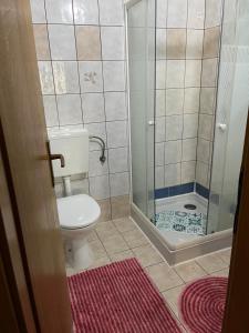 a bathroom with a toilet and a shower at pansion Lea in Pernica