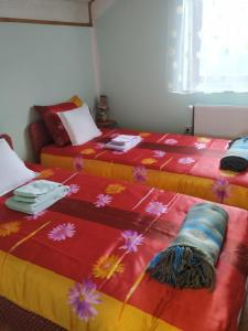 two beds sitting next to each other in a room at Аpartman ELENA in Rakovac