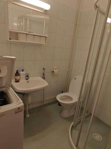 uma casa de banho com um WC e um lavatório em Brooms - Newly renovated central studio apartment em Pietarsaari