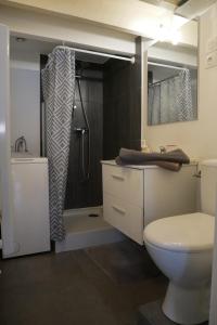 un bagno con wc e doccia di Studio du Pouverel a La Garde