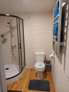 a bathroom with a shower and a toilet and a tub at Namelis Drevernoje in Dreverna