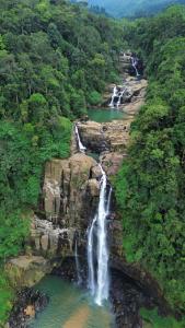 an aerial view of a waterfall in a forest at Trinish homestay in Hatton