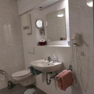 ein Badezimmer mit einem Waschbecken, einem WC und einem Spiegel in der Unterkunft Gästehaus Therme-Blick in Bad Driburg