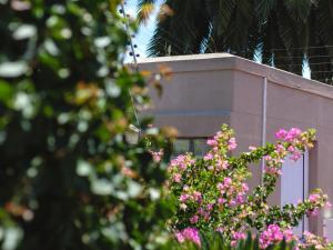 Um edifício com flores cor-de-rosa à frente. em Julinas Guesthouse em Parow