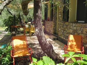 Zwei Stühle sitzen neben einem Baum in der Unterkunft Agriturismo La Vigna in Chiusanico