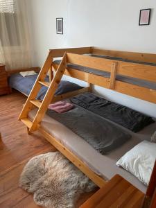 two bunk beds in a room with a rug at Útulný apartmán 50m od lyžiarskeho vleku Triangel in Donovaly