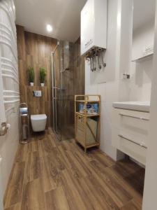 a bathroom with a shower and a toilet at Ustronny Zakątek in Ustroń