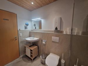 ein Badezimmer mit einem Waschbecken, einem WC und einem Spiegel in der Unterkunft Mountain View near Kaprun - Steinbock Lodges in Piesendorf