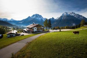 una vaca parada en un campo con montañas en el fondo en Hotel-Gasthof Nutzkaser en Ramsau