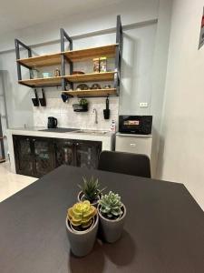two potted plants sitting on a table in a kitchen at Grey Oasis Staycation 1 Bedroom in Manila