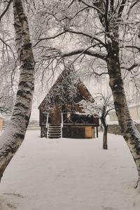 a building covered in snow with two trees at Kamara in Sioni