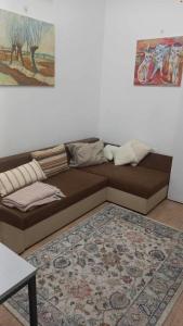 a brown couch in a living room with a rug at Apartma Lilijana in Ljubljana