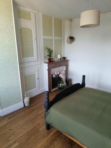 a bedroom with a green bed and a fireplace at Appartement au charme authentique in Mirecourt