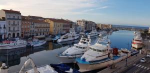 Un tas de bateaux sont amarrés dans un port dans l'établissement Appartement chaleureux - 2 chambres - Canal Royal, à Sète