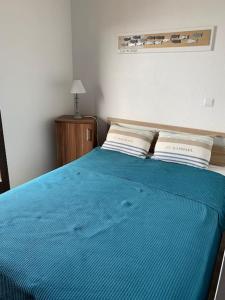um quarto com uma cama azul e 2 almofadas em T2 rénové traversant double vue sur l 'étang em Le Barcarès