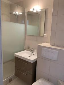 uma casa de banho com um lavatório, um WC e um espelho. em T2 rénové traversant double vue sur l 'étang em Le Barcarès