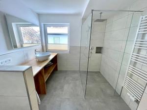 プレーグラーテンにあるFerienwohnungen Sandro Steinerのバスルーム(洗面台、ガラス張りのシャワー付)