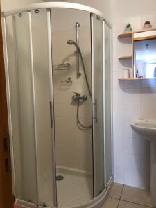 La salle de bains est pourvue d'une douche avec une porte en verre. dans l'établissement Le Chamois 2, à Laye