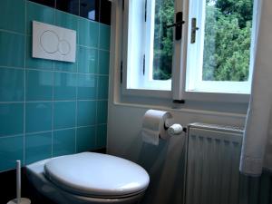 een badkamer met een toilet en een raam bij Horská Chata U Vleku in Rokytnice nad Jizerou