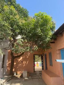 un árbol frente a un edificio con una puerta en Hampi backyard vibes, en Hospet