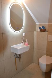 uma casa de banho com um lavatório e um espelho em 1 Zimmer mit Bad ohne Küche, 1 Person, 15 qm, direkt an der Aach em Singen