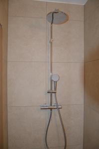 a shower with a shower head in a bathroom at 1 Zimmer mit Bad ohne Küche, 1 Person, 15 qm, direkt an der Aach in Singen