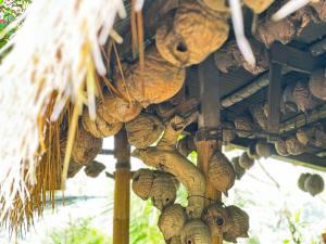 Afbeelding uit fotogalerij van Nang Taro Home Stay in Penginyahan