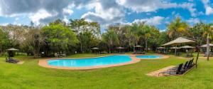 een zwembad in een park met bomen en parasols bij Kruger Park Lodge Unit No. 216 in Hazyview