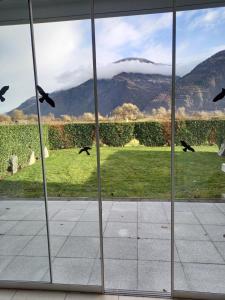 una vista desde una ventana con aves volando fuera en Saillon Evasion Sarl, en Saillon