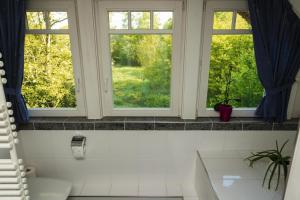 baño con 3 ventanas y lavamanos en Ferienhaus LANDHAUS STUHRBERG en Brake