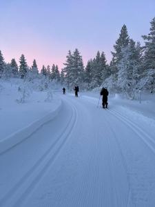 un groupe de personnes pratiquant le ski de fond sur une route enneigée dans l'établissement Saariselällä, sielukas hirsimökki - Unique cottage, à Saariselka