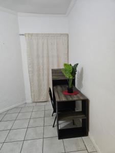 a table with a potted plant on it in a room at Dunrobyn Court Tempo Stay in East London