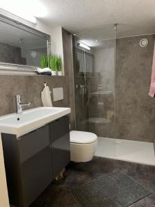 a bathroom with a toilet and a sink and a shower at Wiesenhof in Reith im Alpbachtal +19 photos