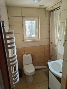 a bathroom with a toilet and a sink and a window at Dom Koniaków in Koniaków